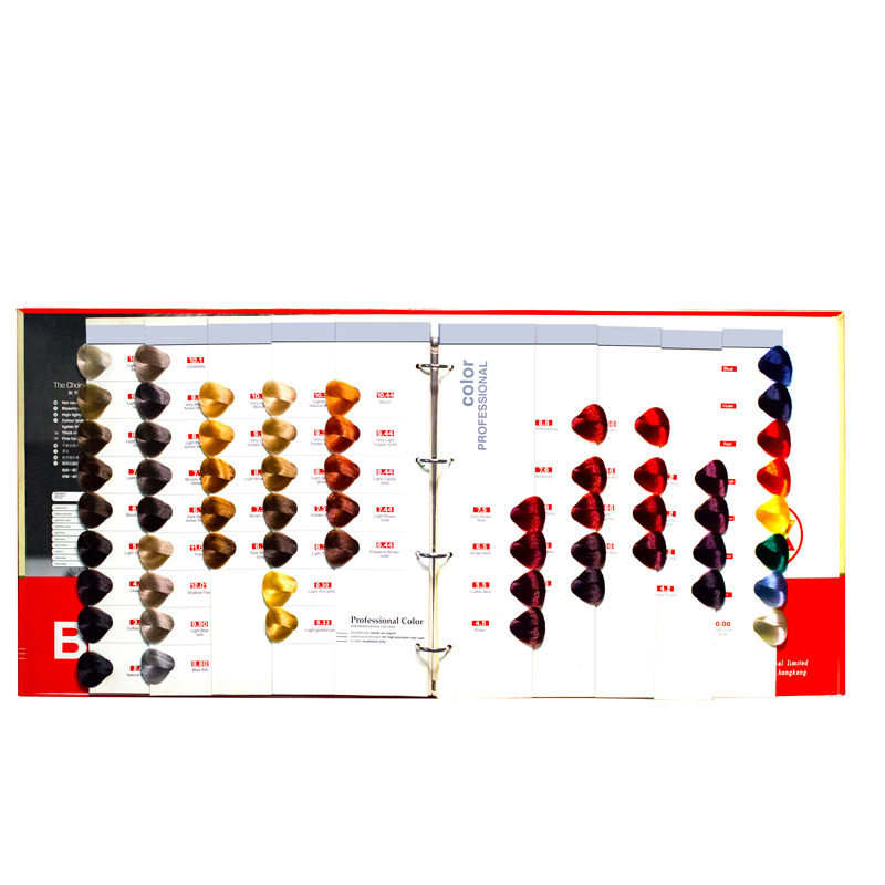 OEM color charts for hair supplier for hair salon-2